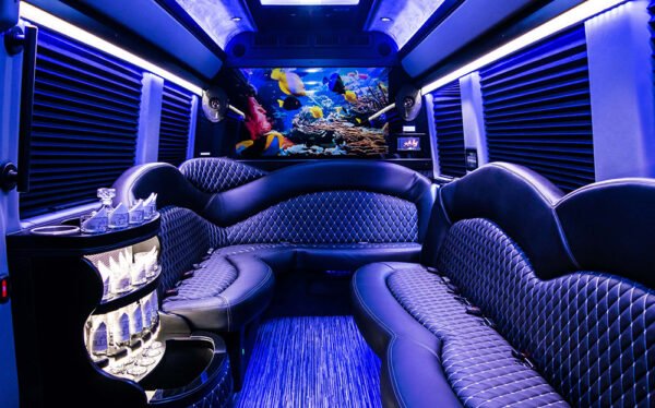 Mercedes Sprinter Limo